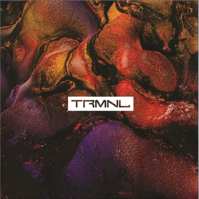 Save Now DjebalI TRMNL003 TRMNL vinyl record