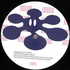 Reduced Price DJ Chrysalis What Came First An Why Does It Matter Public Access vinyl record