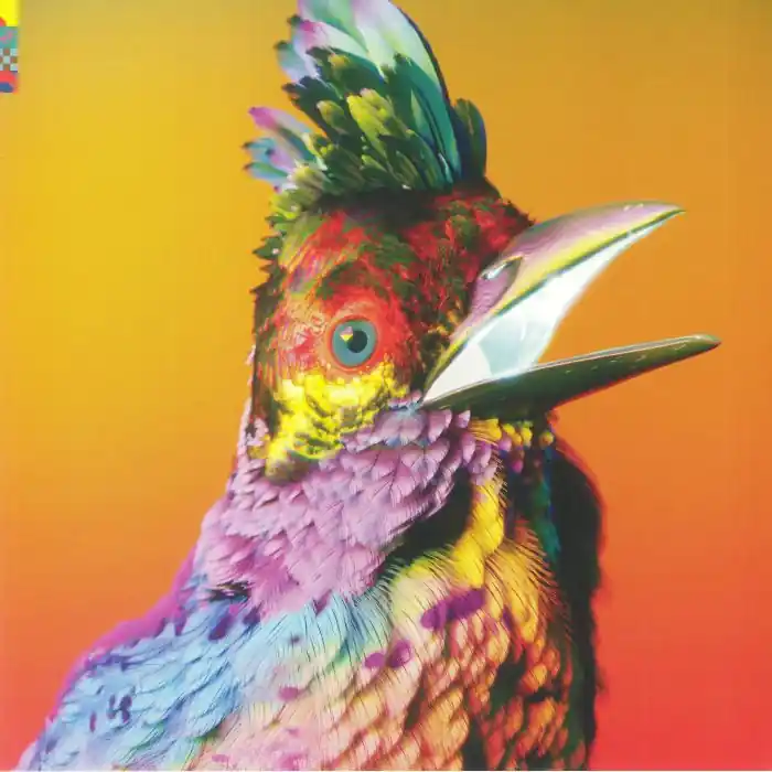 Authentic Flume Palaces Transgressive vinyl record