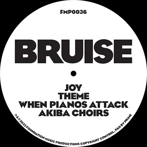 Hassle-Free Returns Bruise Joy EP Foundation Music vinyl record