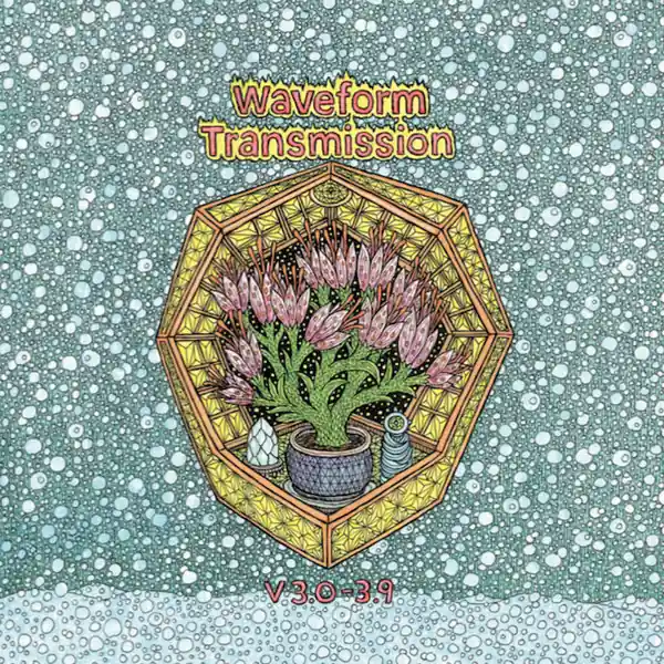 Waveform Transmission V 3.0-3.9 Astral Industries vinyl record Free Shipping