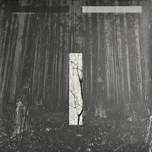 Liebing, Chris Another Day Mute vinyl record Price Cut