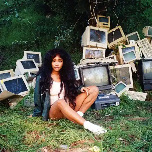 Professional Grade SZA Ctrl Top Dawg Entertainment vinyl record