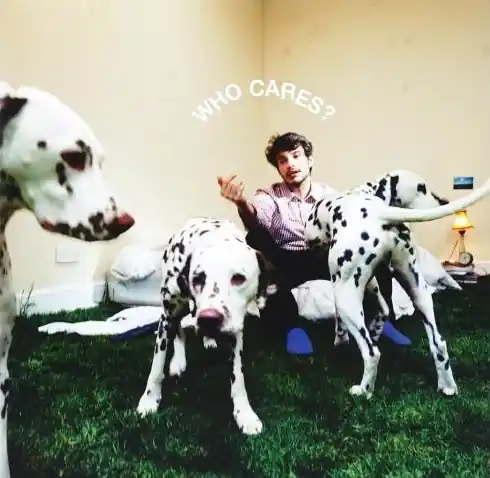Rex Orange County Who Cares? Columbia vinyl record Reduced Price
