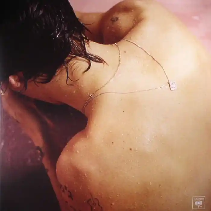 Crafted Styles, Harry Harry Styles Erase Limited vinyl record