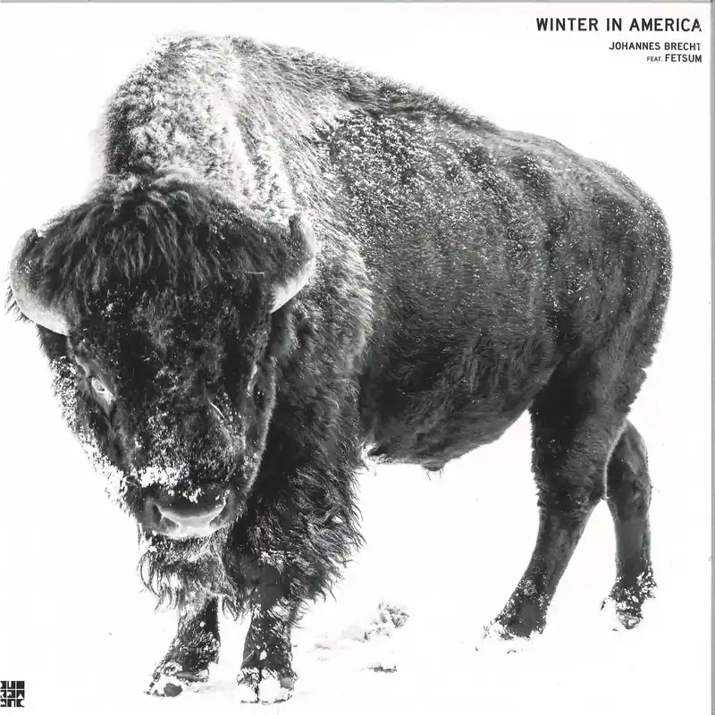 Big Sale Brecht, Johannes / Fetsum Winter In America Diynamic music vinyl record