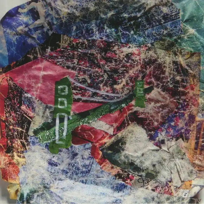 Animal Collective Bridge To Quiet Domino vinyl record Price Cut