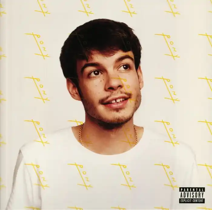 Don’t Miss Out Rex Orange County Pony Sony vinyl record