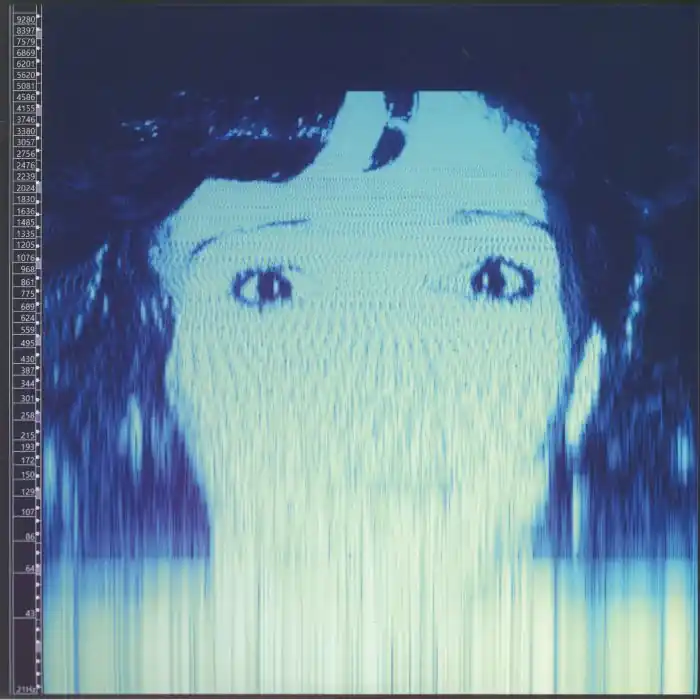 Secure Checkout Avalanches We Will Always Love You EMI vinyl record