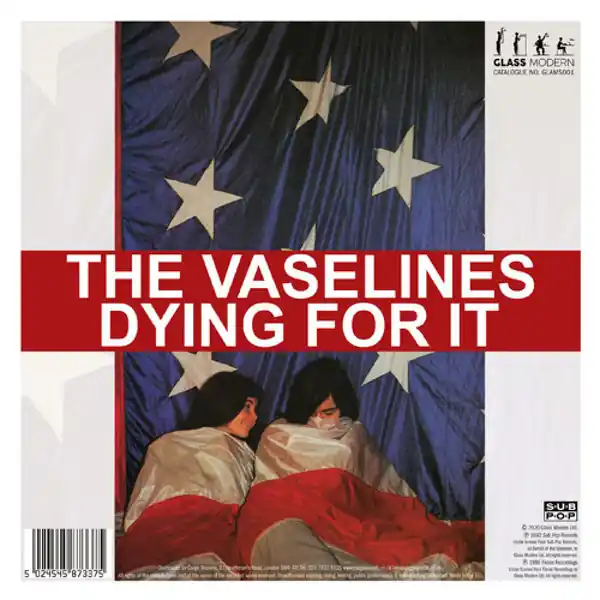In Demand The Vaselines / The Pooh Sticks RSD 2020 Dying For It RSD 2020 Glass Modern vinyl record