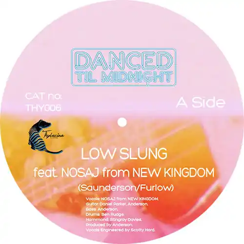Handmade Danced Til Midnight Low Slung THYLACINE SOUNDS vinyl record