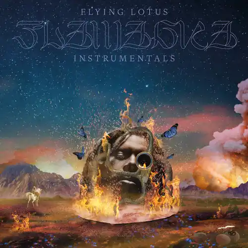 Flying Lotus Flamagra Intrumentals Warp vinyl record Brand New