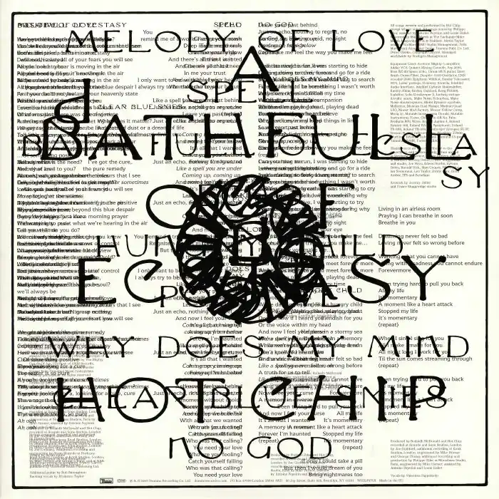 Today Only Hot Chip A Bathfull Of Ecstasy Domino vinyl record
