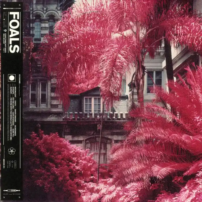 Low Price Foals, The Everything Not Saved Will Be Lost : Part 1 Warners vinyl record