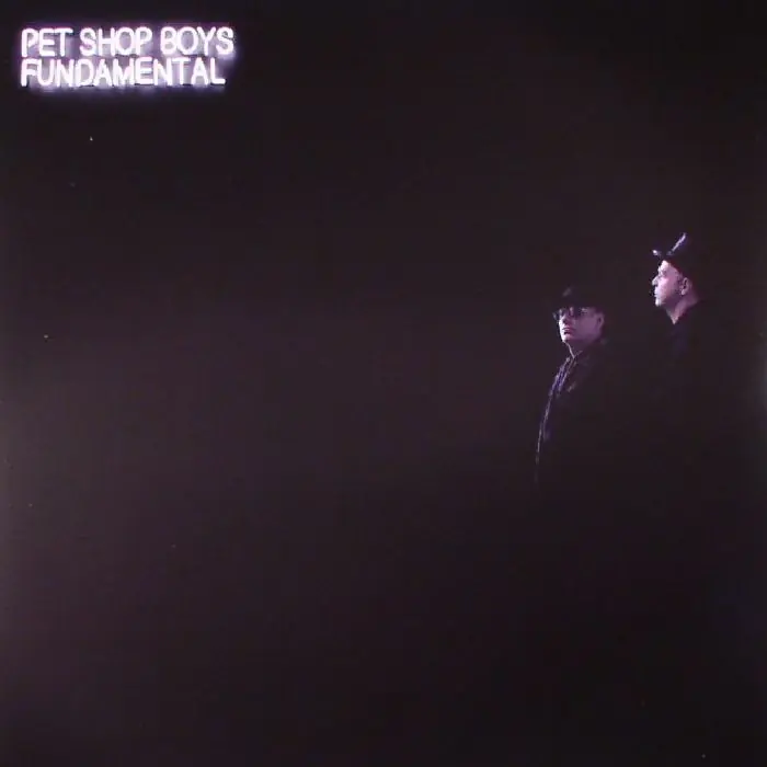 Original Pet Shop Boys Fundamental Parlophone vinyl record