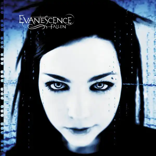 Evanescence Fallen Bi Brother vinyl record While Supplies Last