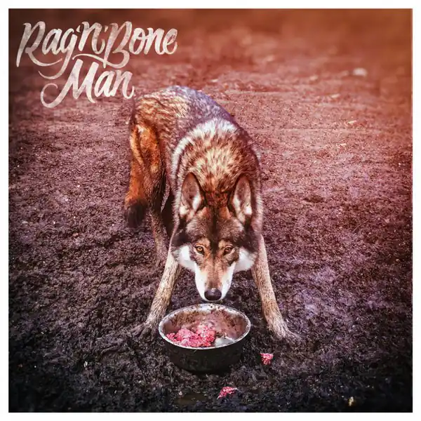 Limited Edition Rag'n'Bone Man Wolves Sony vinyl record