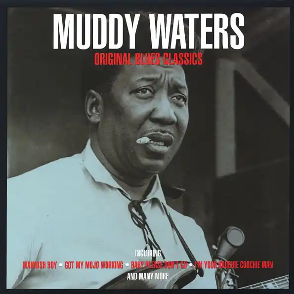 Free Delivery Waters, Muddy Original Blues Classics Not Now Music vinyl record