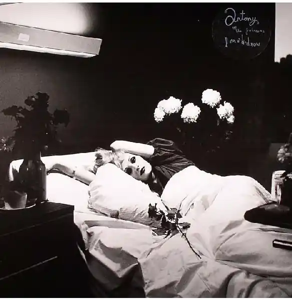 Authentic Antony & The Johnsons I Am A Bird Rough Trade vinyl record