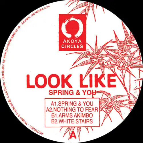 Express Delivery Look Like Spring & You Akoya Circles vinyl record