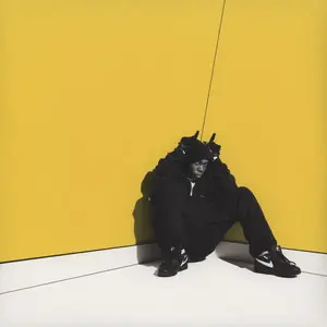 Same Day Shipping Dizzee Rascal Boy In Da Corner XL vinyl record