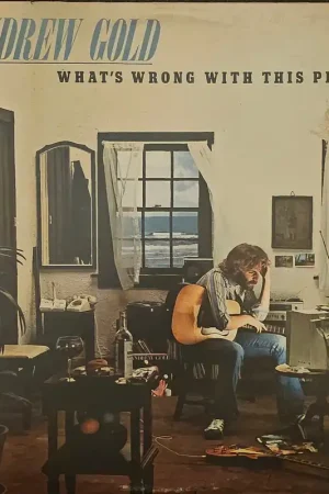 Andrew Gold - What's Wrong With This Picture? Lp– museum vinyl Shop Now