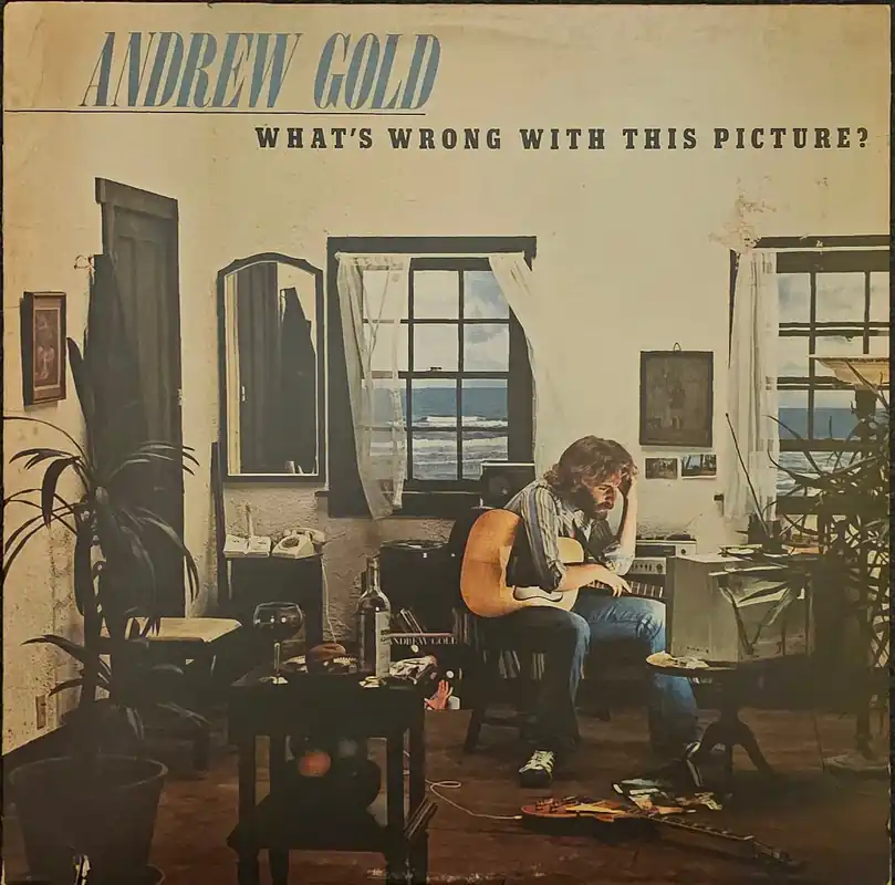 Andrew Gold - What's Wrong With This Picture? Lp– museum vinyl Shop Now