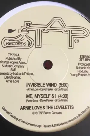 Arnie Love & The Loveletts - Invisible Wind 12" Single (RSD 2021)– museum vinyl Latest