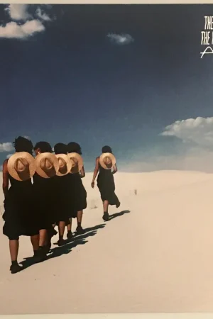 Wye Oak - The Louder I Call, The Faster It Runs (Ltd Numbered Coke Bot– museum vinyl Authentic