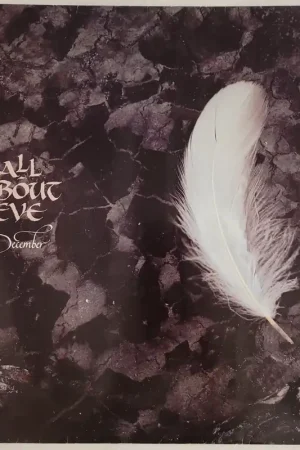 All About Eve - December 12" Single– museum vinyl Exclusive Offer