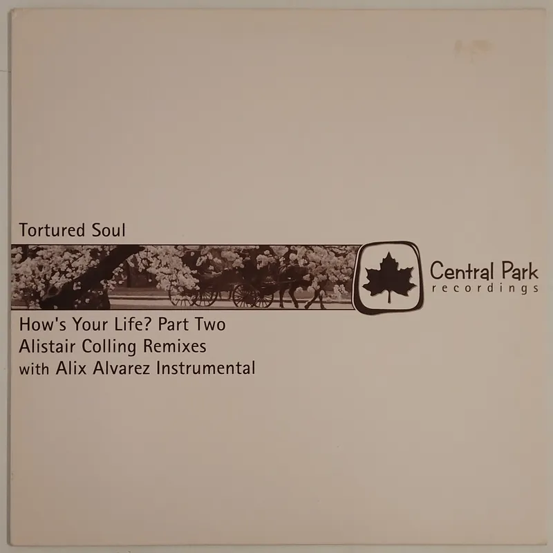 Certified Tortured Soul - How's Your Life? (Part Two) 12" Single– museum vinyl