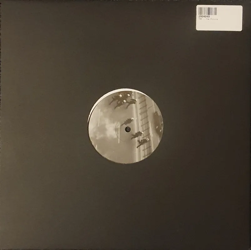 Handmade TRP - The Future 12" Single– museum vinyl