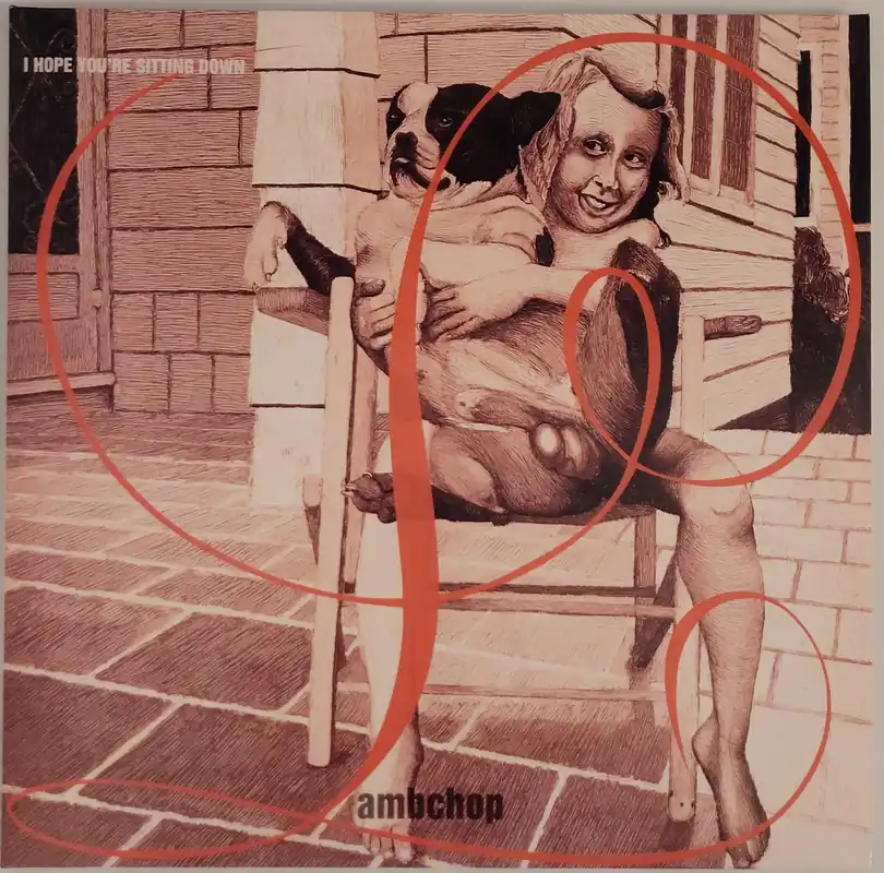 Lambchop - I Hope You're Sitting Down Lp– museum vinyl In Demand