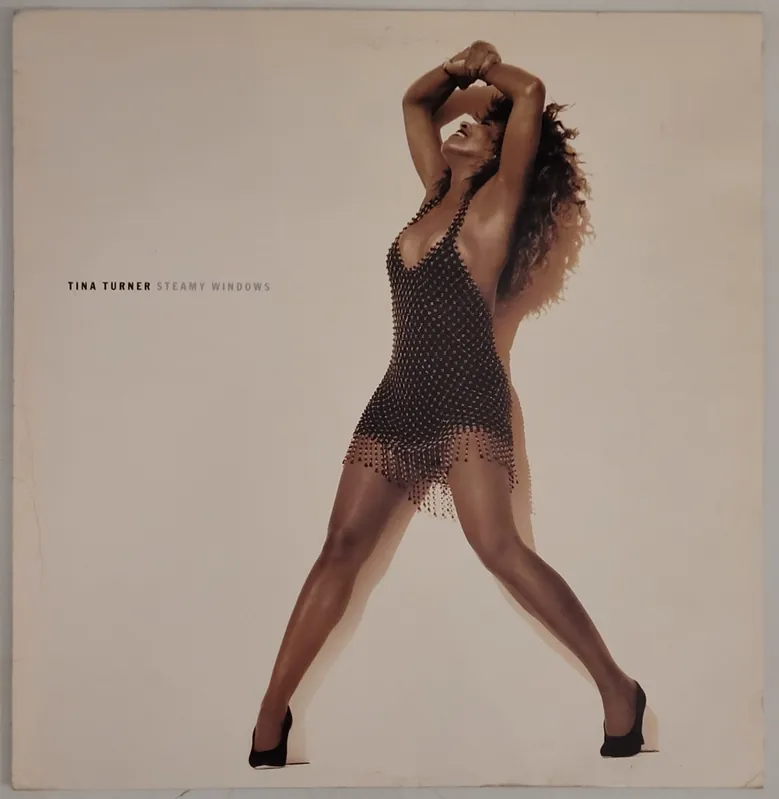Express Delivery Tina Turner - Steamy Windows 12" Single– museum vinyl