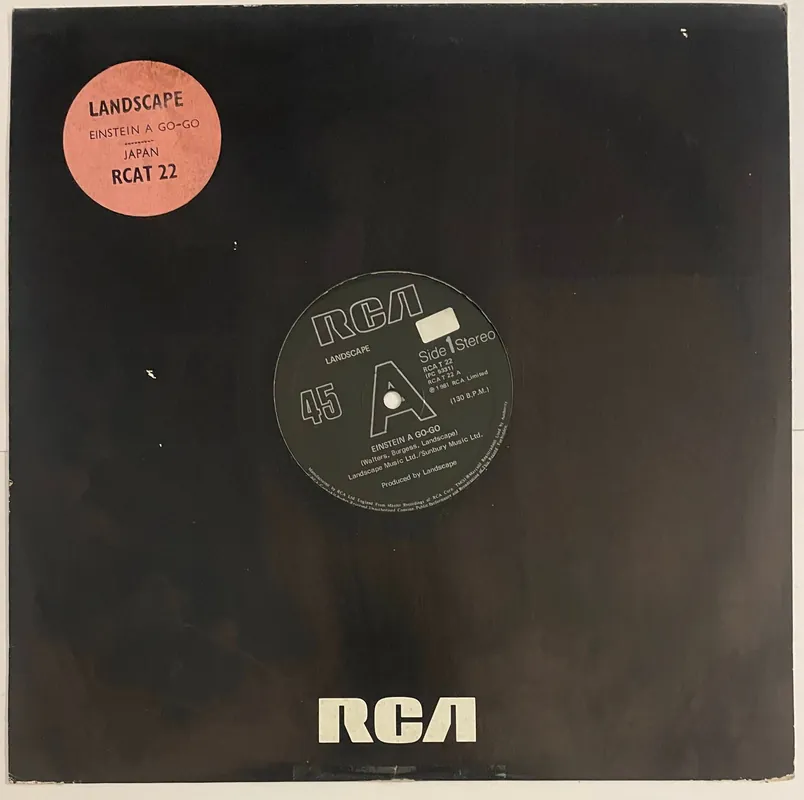 Don’t Miss Out Landscape - Einstein A Go-Go 12" Single– museum vinyl