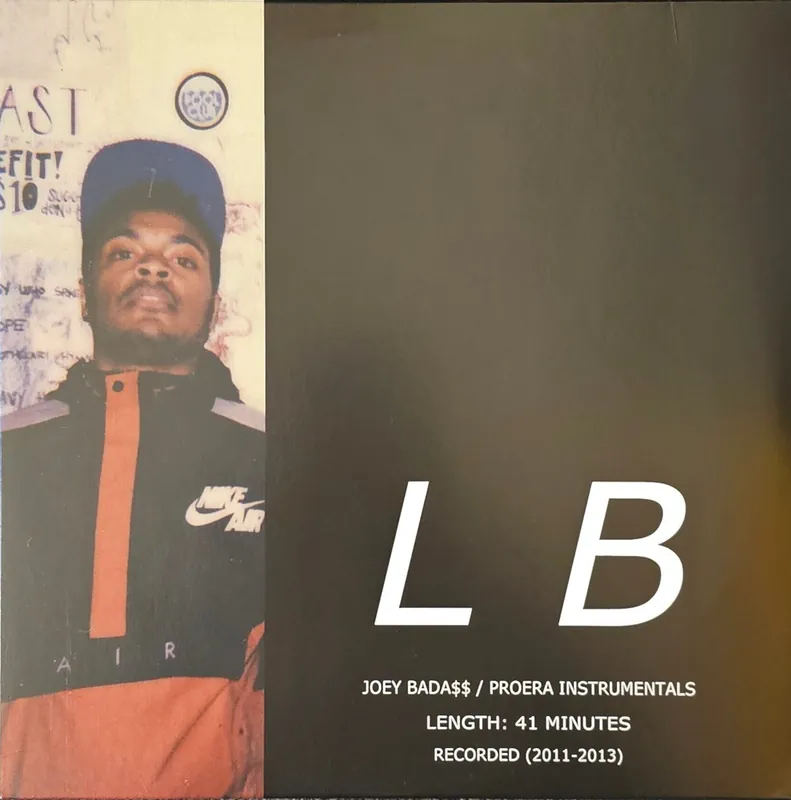 Lee Bannon - Joey Bada$$ Pro Era Instrumentals– museum vinyl Free Returns
