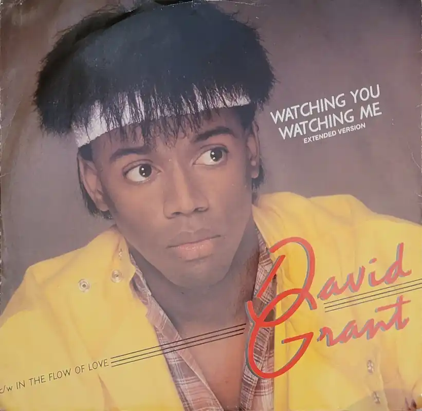 David Grant - Watching You Watching Me (Extended Version) 12" Single– museum vinyl Fan Favorite