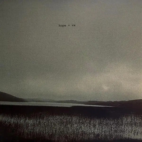 Popular Hope + VX - Kilo Price For Dead Shapes Lp (Ltd Silver/Grey)– museum vinyl
