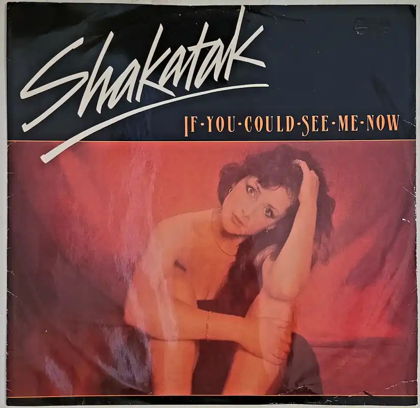 Shakatak - If You Could See Me Now 12" Single– museum vinyl Top Pick