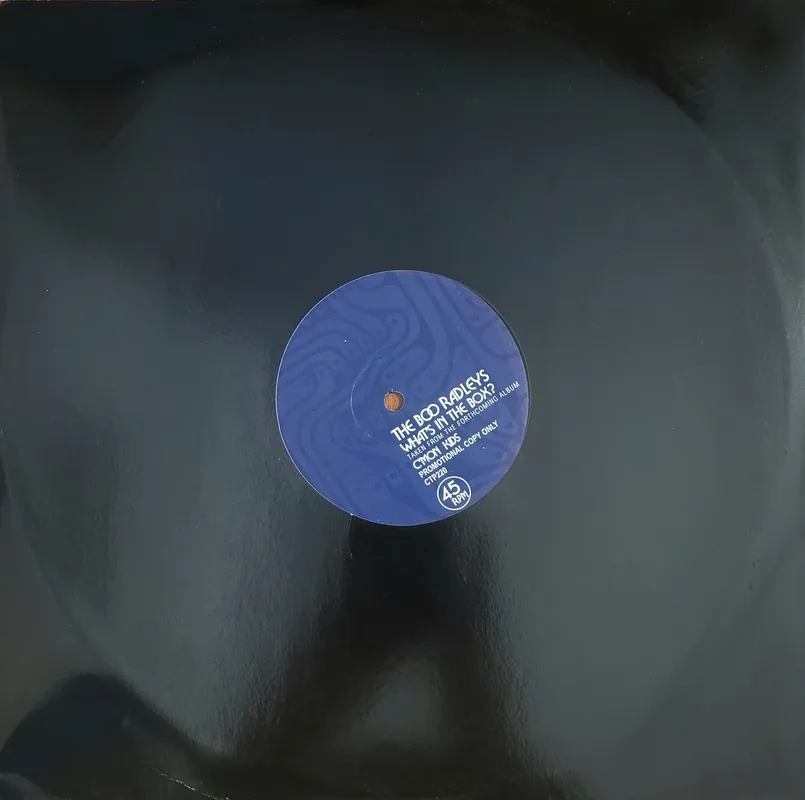 The Boo Radleys - What's In The Box 12" Single (Promo)– museum vinyl Editor’s Pick
