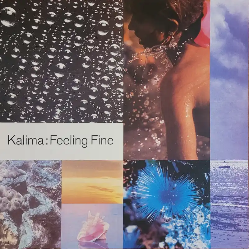 Trending Kalima - Feeling Fine Lp– museum vinyl