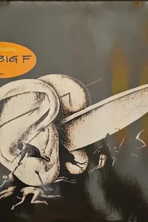 Affordable The Big F - The Big F Lp– museum vinyl