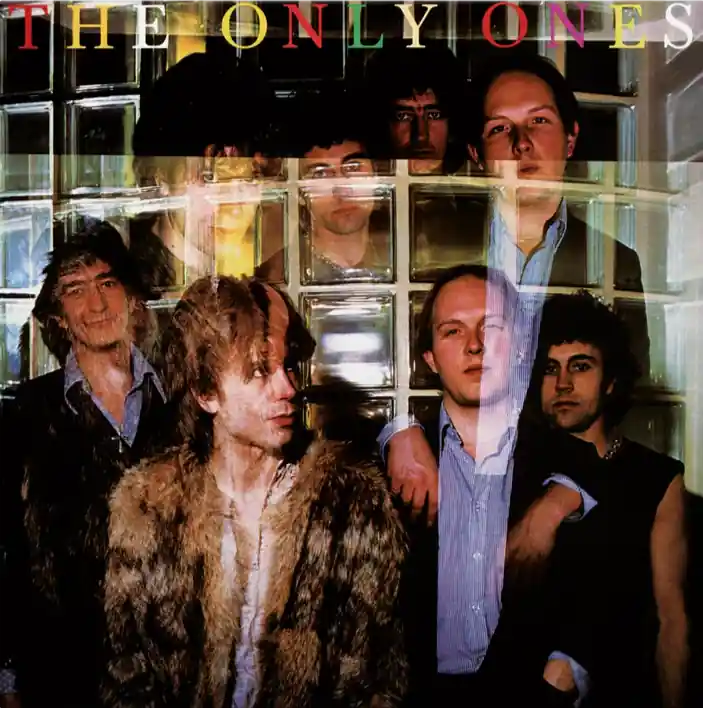 Deal The Only Ones - The Only Ones Lp– museum vinyl