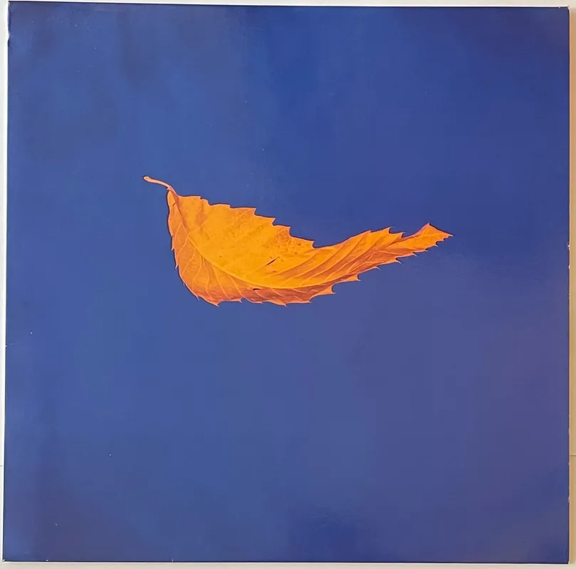 New Order - True Faith / 1963 12" Single– museum vinyl Best Choice