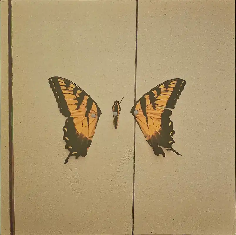 Paramore - Brand New Eyes Lp– museum vinyl Brand New