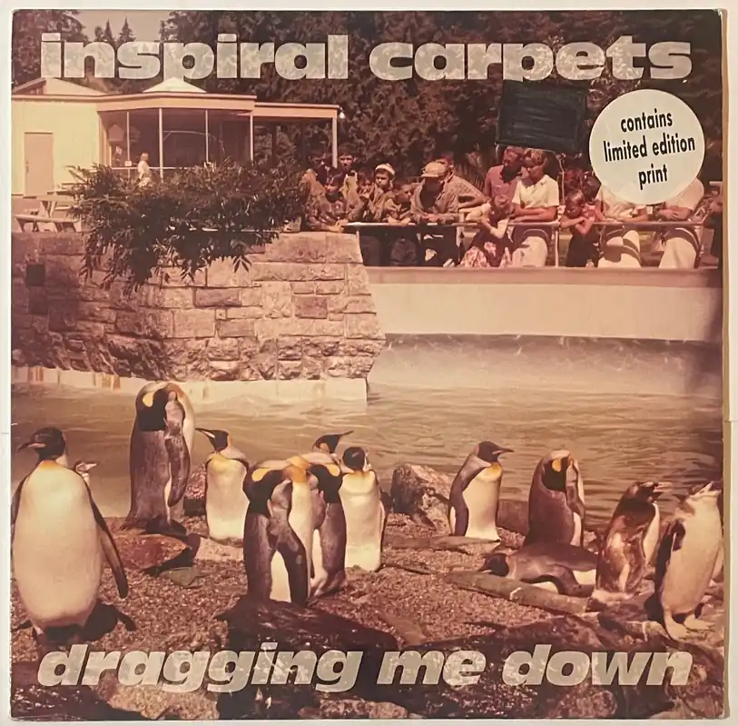 Inspiral Carpets - Dragging Me Down 12" Single (No Print)– museum vinyl Get Yours